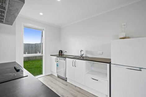 Photo of property in 90 Hinemoa Street, Levin, 5510