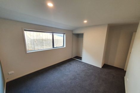 Photo of property in 45f Prospect Terrace, Pukekohe, 2120