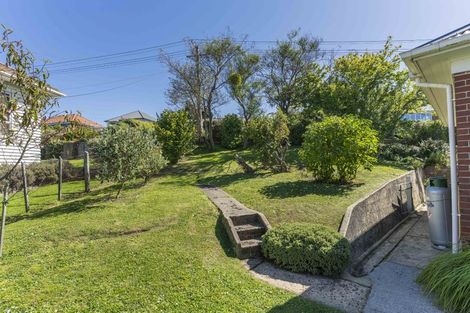 Photo of property in 127 Lynn Street, Wakari, Dunedin, 9010