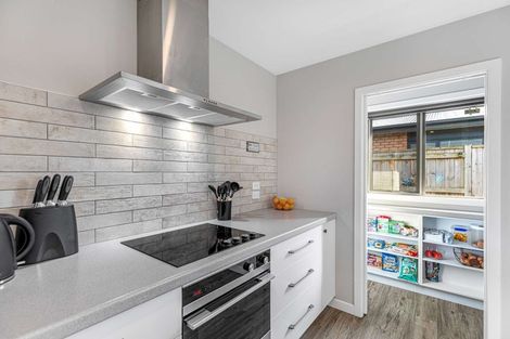 Photo of property in 28 Monarch Drive, Ashhurst, 4810