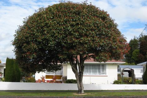 Photo of property in 47 Pembroke Road, Stratford, 4332