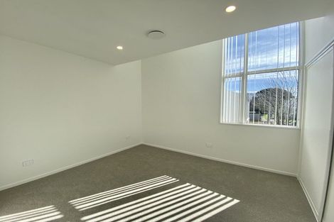 Photo of property in 11/2 Hammond Place, Spreydon, Christchurch, 8024