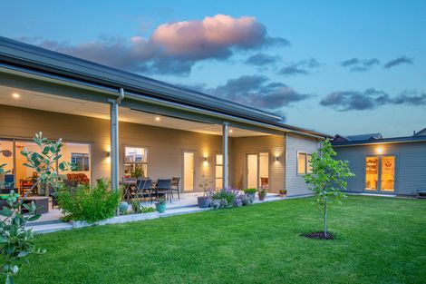 Photo of property in 37 Larch Crescent, Alexandra, 9320