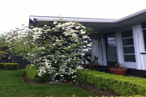 Photo of property in 29 Hanmer Street, Linwood, Christchurch, 8011