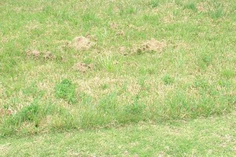 Photo of property in 6 Eastfield Avenue, Flat Bush, Auckland, 2019