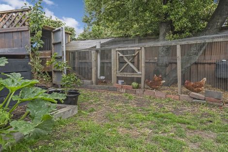 Photo of property in 8 Muir Avenue, Halswell, Christchurch, 8025