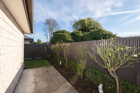 Photo of property in 65b Cleveland Street, Edgeware, Christchurch, 8013