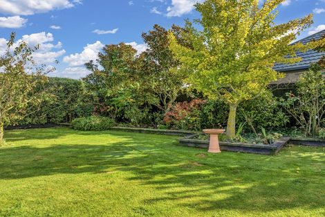 Photo of property in 46 Acacia Avenue, Rangiora, 7400
