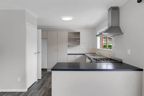 Photo of property in 58b Nixon Street, Hamilton East, Hamilton, 3216
