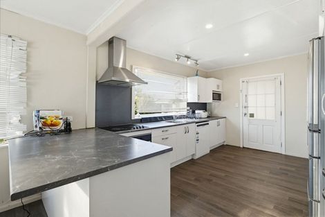 Photo of property in 411 Hastings Street South, Akina, Hastings, 4122