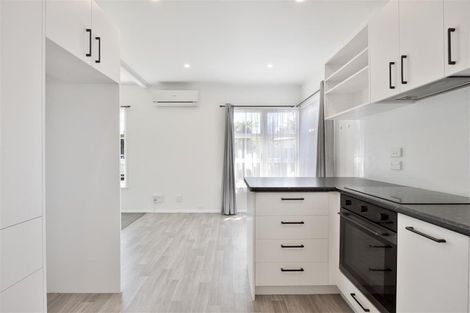 Photo of property in 16 Nixon Street, Hamilton East, Hamilton, 3216