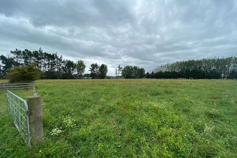 Photo of property in 156 Kawakawa Road, Feilding, 4775