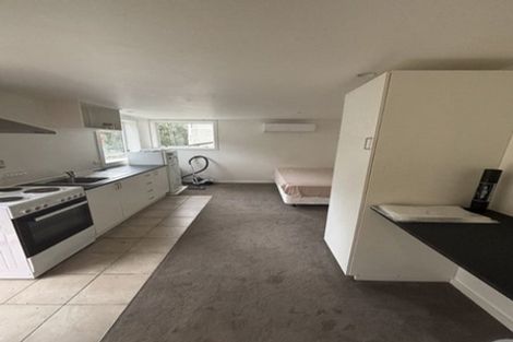 Photo of property in 164a Hanson Street, Newtown, Wellington, 6021