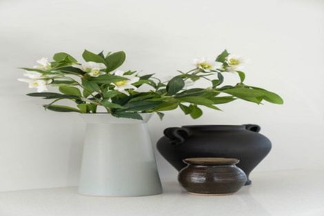 Photo of property in 3 Ada Way, Gate Pa, 3112