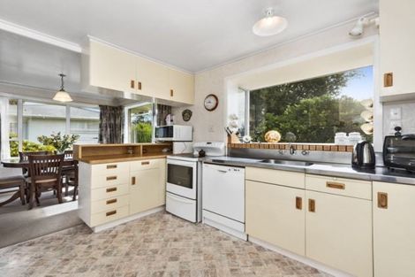 Photo of property in 40 Taylor Terrace, St Andrews, Hamilton, 3200
