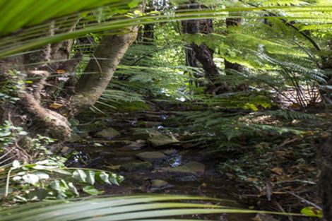 Photo of property in 25 Makiri Street, Helensville, 0800