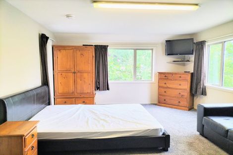 Photo of property in 45d Lees Street, Dunedin Central, Dunedin, 9016