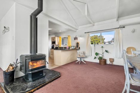 Photo of property in 20 Killarney Street, Alexandra, 9320