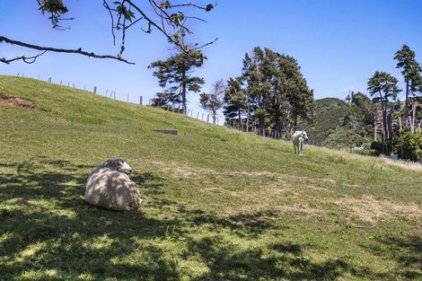 Photo of property in 543 Mataro Road, Onaero, Urenui, 4375