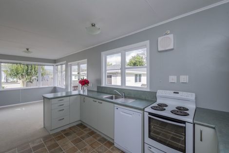 Photo of property in 51 Graham Street, Levin, 5510