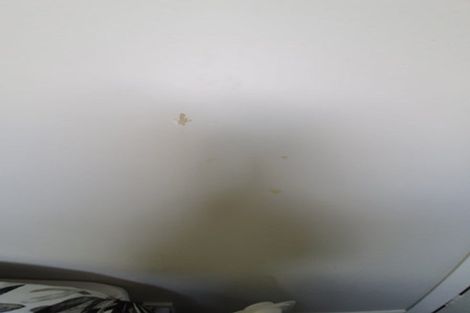 Photo of property in 148 Washington Avenue, Brooklyn, Wellington, 6021