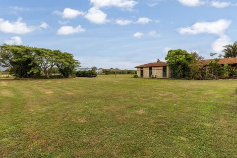 Photo of property in 65 Pohutukawa Drive, Levin, 5571