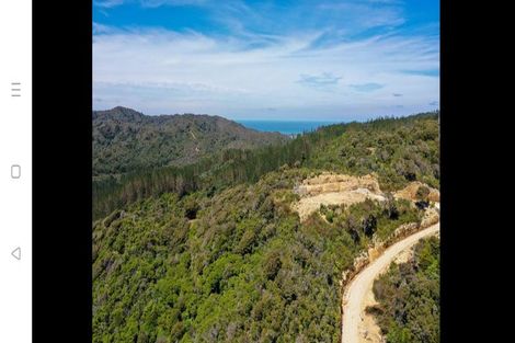 Photo of property in 425 Pakawau-bush Road, Pakawau, Collingwood, 7073