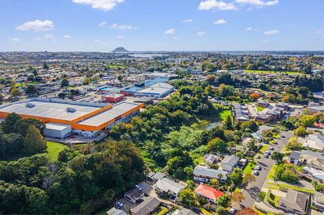 Photo of property in 23a Wellesley Grove, Gate Pa, Tauranga, 3112
