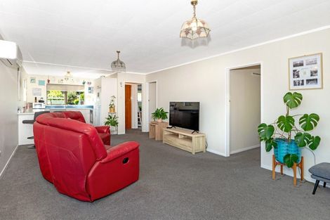 Photo of property in 53 Winter Street, Mangapapa, Gisborne, 4010