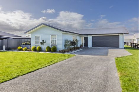 Photo of property in 21 Bell Street, Otane, 4202
