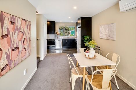 Photo of property in 31u8 Princess Terrace, Newtown, Wellington, 6021