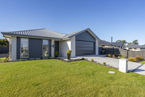 Photo of property in 17 Foster Place, Amberley, 7410
