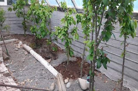 Photo of property in 344 Tramway Road, Leeston, 7682