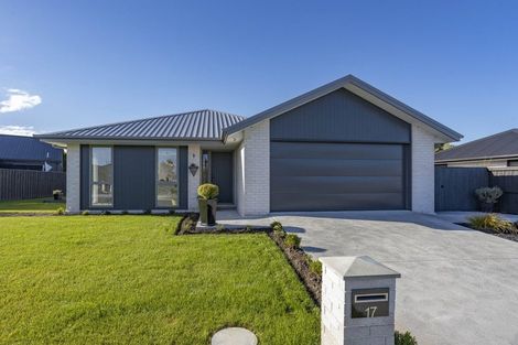 Photo of property in 17 Foster Place, Amberley, 7410