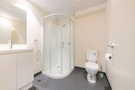 Photo of property in Te Kainga Te Aka, 203 Willis Street, Te Aro, Wellington, 6011