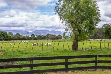 Photo of property in 2/53 Jellicoe Street, Greytown, 5712