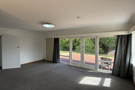 Photo of property in 19 Rutland Street, St Albans, Christchurch, 8014