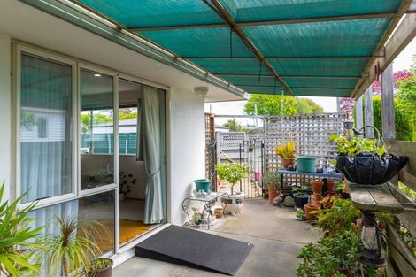 Photo of property in 29a Cubitt Street, Blenheim, 7201