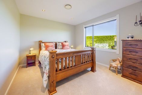 Photo of property in 223f Racecourse Road, Waipukurau, 4282