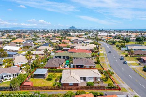 Photo of property in 202 Grenada Street, Mount Maunganui, 3116
