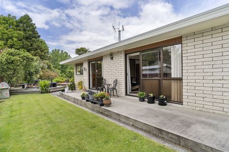 Photo of property in 12 Norrie Street, Te Puke, 3119