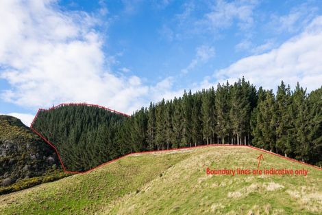 Photo of property in 109 Mclaren Gully Road, Allanton, Mosgiel, 9092