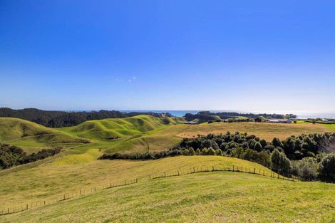 Photo of property in 116c Mimiha Ridge Road, Matata, Whakatane, 3194