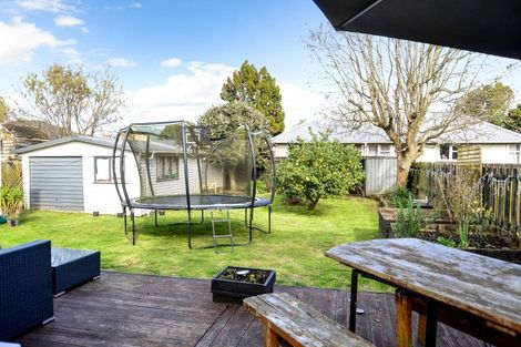 Photo of property in 269 Peachgrove Road, Fairfield, Hamilton, 3214