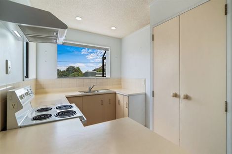 Photo of property in 29b Campbell Road, Mount Maunganui, 3116