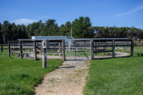 Photo of property in 103 Lincoln Road, Carterton, 5713