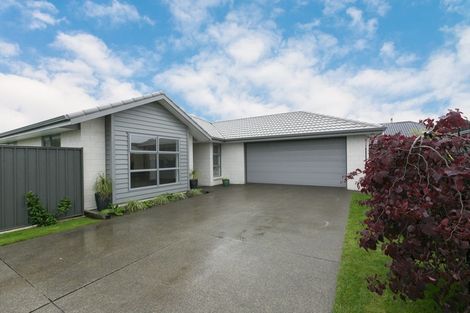 Photo of property in 19 Percy Berry Place, Havelock North, 4130