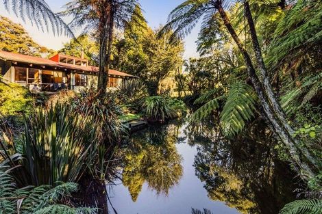 Photo of property in 66 Kent Terrace, Midhirst, Stratford, 4394