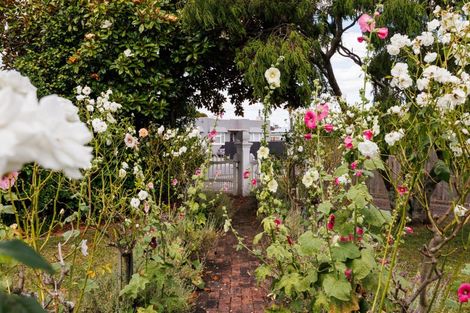 Photo of property in 24 Lytton Street, Feilding, 4702