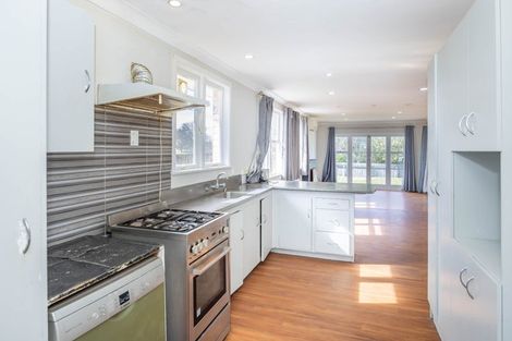 Photo of property in 41 Bruce Avenue, Glenview, Hamilton, 3206